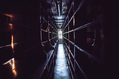 "Wrocławski Hogwart" niezwykłe wnętrza dawnej biblioteki uniwersyteckiej - 9