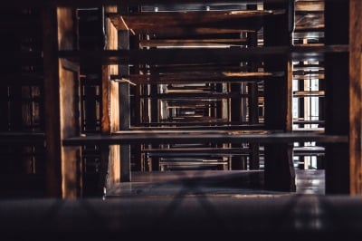 "Wrocławski Hogwart" niezwykłe wnętrza dawnej biblioteki uniwersyteckiej - 14