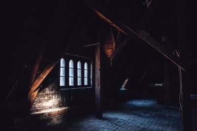 "Wrocławski Hogwart" niezwykłe wnętrza dawnej biblioteki uniwersyteckiej - 26