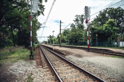 Wrocław: Mieszkańcy chcą zablokować wycinkę drzew - 2