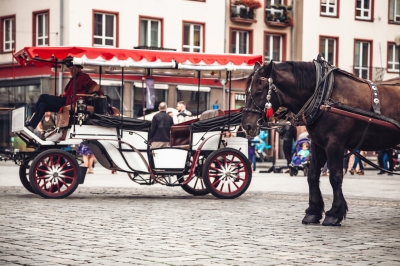 Ale za to w niedzielę... dzieje się na wrocławskim Rynku [FOTOSPACER] - 6