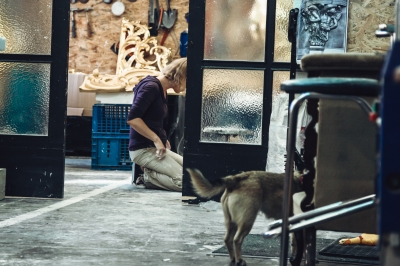 Organy odradzające się z popiołów [FOTOREPORTAŻ] - 1