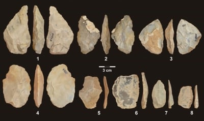 Spektakularne odkrycie wrocławskich naukowc&oacute;w. Wydobyli DNA z zęba neandertalczyka