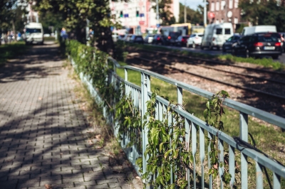 Wrocław: Wracają tramwaje na Hallera i Żmigrodzką - 14
