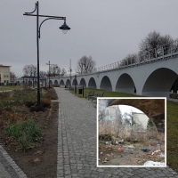 Strzegom