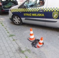 Świdnicka Straż Miejska