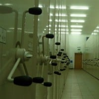 Ogólnopolskie archiwum ZUS w Legnicy