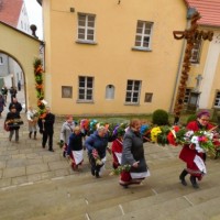 Palmy z Chełmska Śląskiego