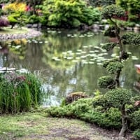 Ogród japoński we Wrocławiu 