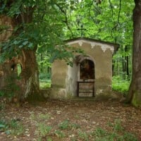 Park Krajobrazowego "Chełmy"