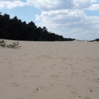Przemkowski Park Krajobrazowy
