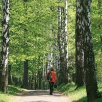  Park im. Jana III Sobieskiego w Wałbrzychu