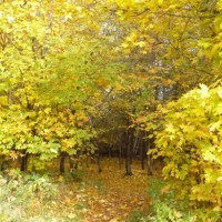 Książański Park Krajobrazowy