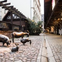 Ulica Jatki we Wrocławiu