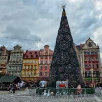 Choinka na wrocławskim Rynku